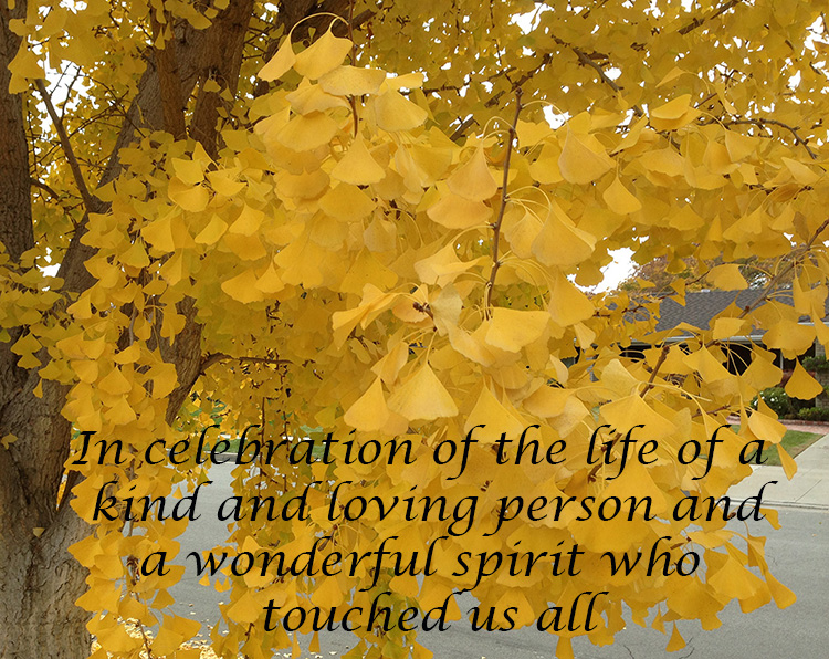 memorial Mary Schmidt