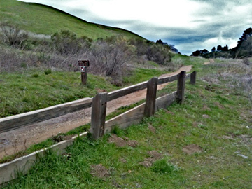 Trail to Russian Ridge